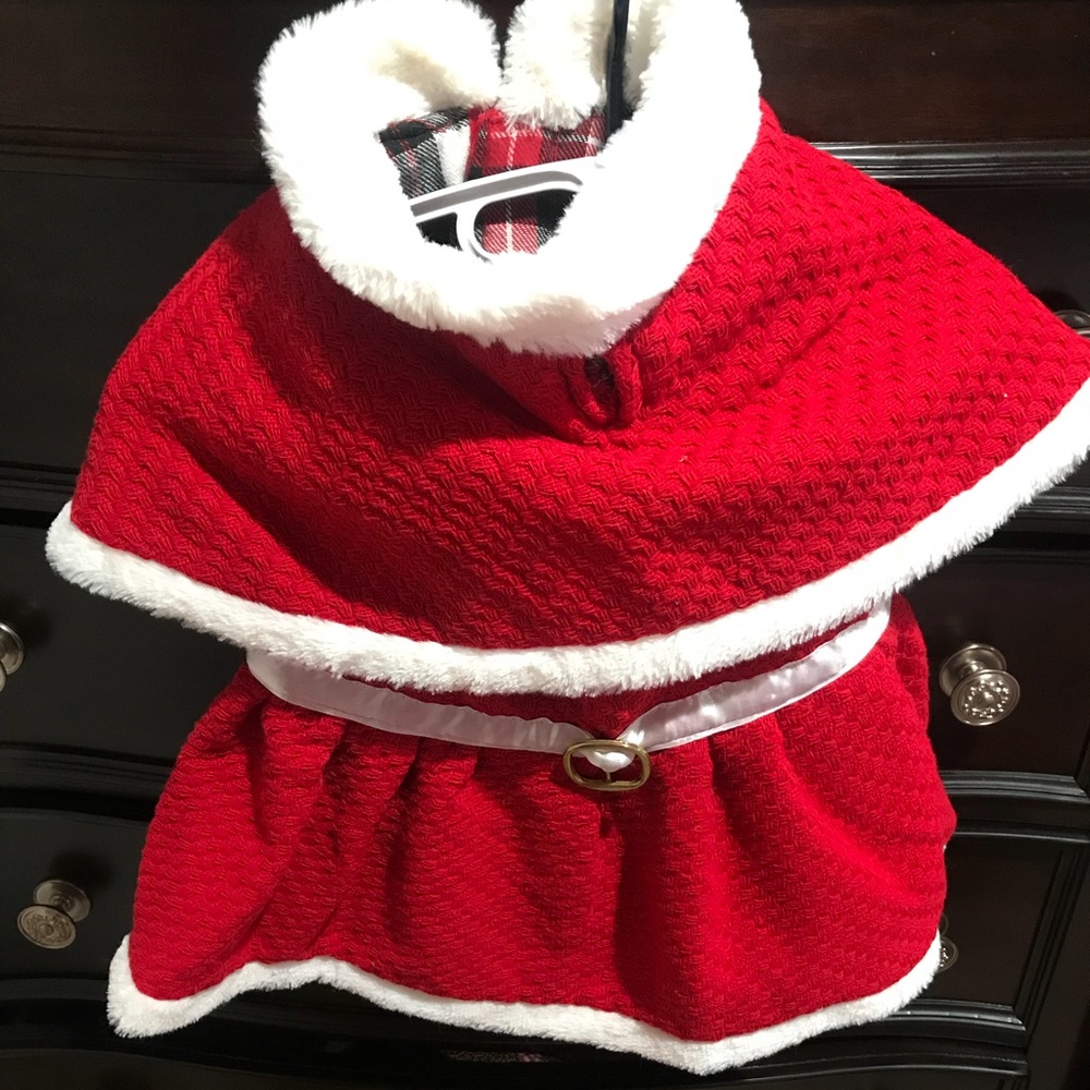 Santa claus costume for dog